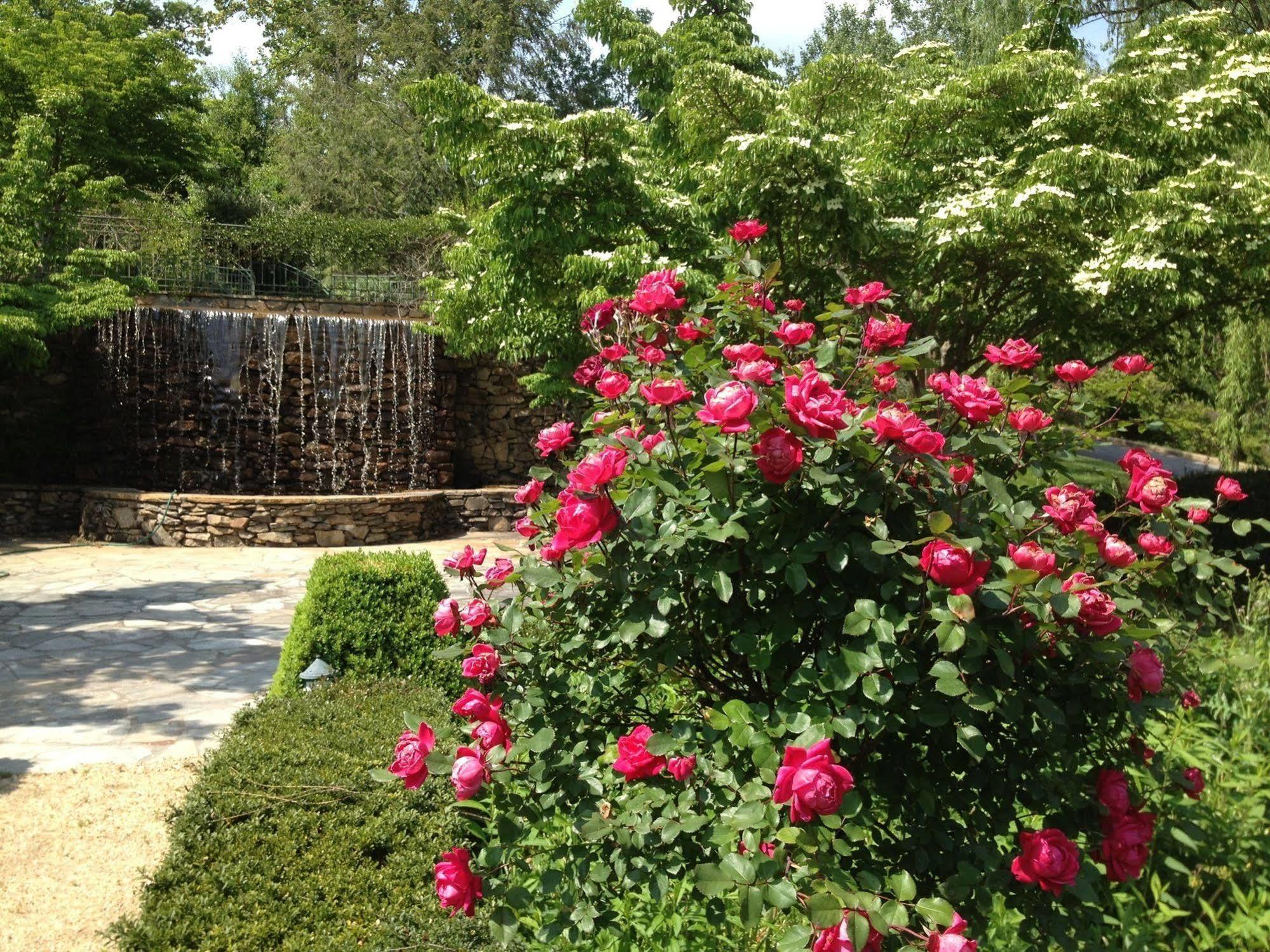 Hotel Om Sanctuary Holistic Retreat Asheville Exterior foto